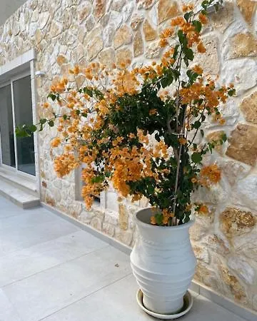 Luxury Seaside Darl * Acharavi (Corfu)