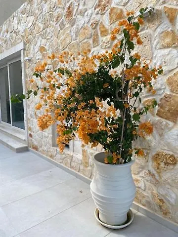 Luxury Seaside Darl * Acharavi (Corfu)