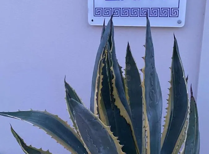 Luxury Seaside Darl ヴィラ アカラヴィ